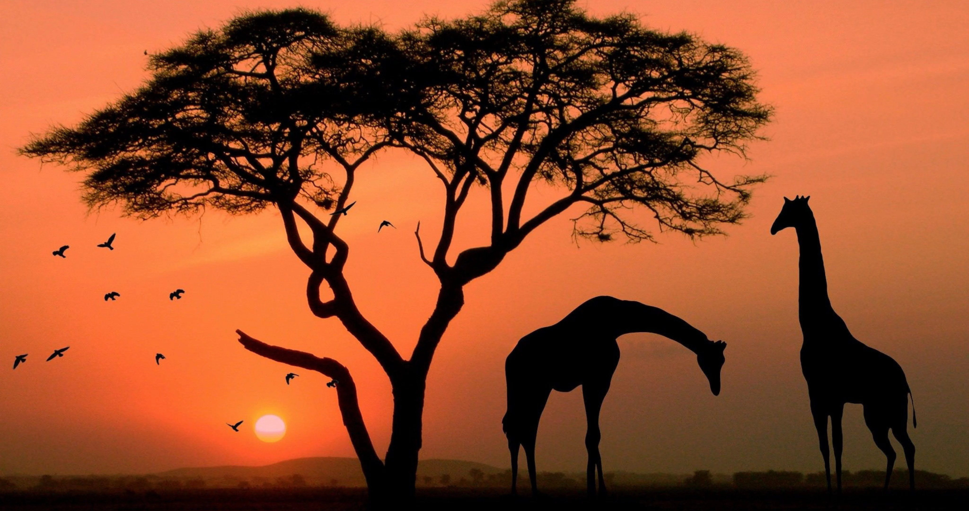 Kenya